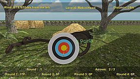 Precision Archery: Competitive
