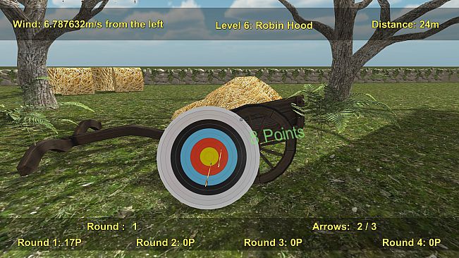 Precision Archery: Competitive