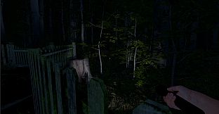 The Greys: Human Abductions