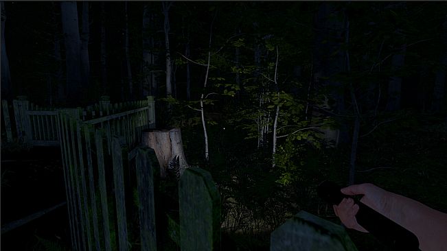 The Greys: Human Abductions