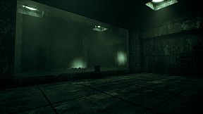 The Watcher In The Bright