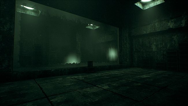 The Watcher In The Bright