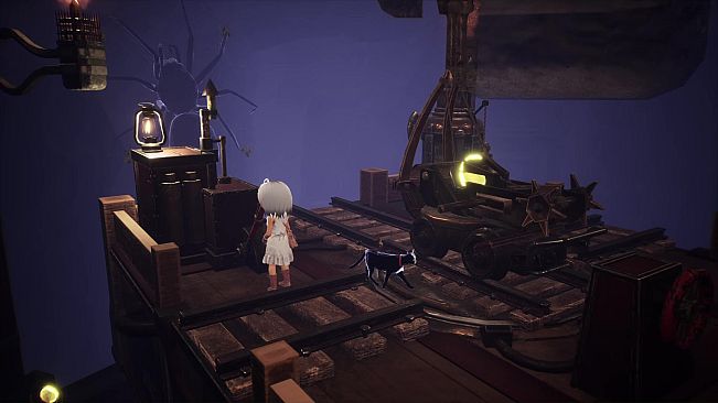 LIGHT:Black Cat & Amnesia Girl