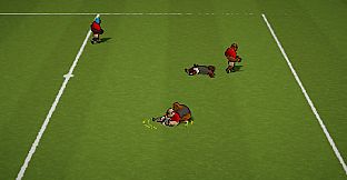 Rugby World Championship