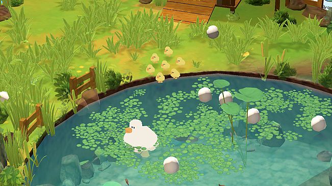 Hello Duck