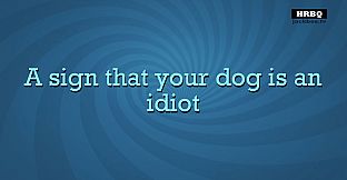 Quiplash 2 InterLASHional: The Say Anything Party Game!