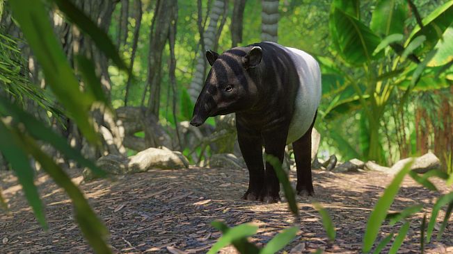 Planet Zoo: Southeast Asia Animal Pack