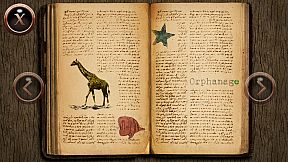 Mystery Of Rivenhallows