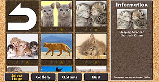 Jigsaw Masterpieces : Cute Lovely Cats