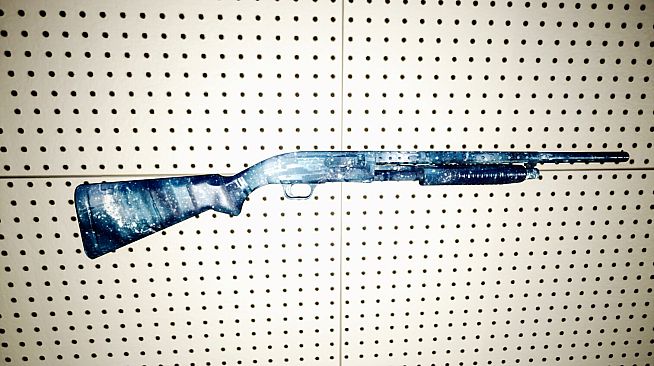 Monster Hide - Ice/Fire Skins