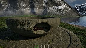 Mushroom Selection 2