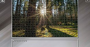 Super Jigsaw Puzzle: Generations - Forests