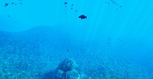 The Fishing Club 3D: Co-op Sport Angling