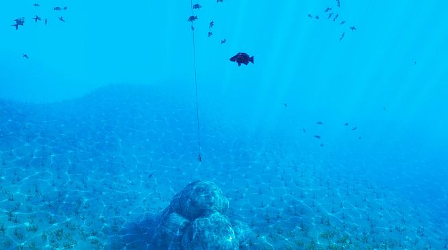 The Fishing Club 3D: Co-op Sport Angling