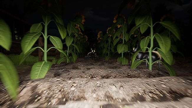 Good Boy The Long Night