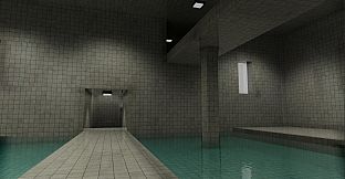 Transcendence in the Poolrooms
