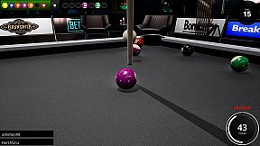 Brunswick Pro Billiards