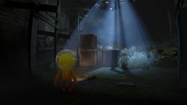 Sticky Sticky: Surplus Protocol