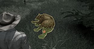 Ranger's Path: National Park Simulator
