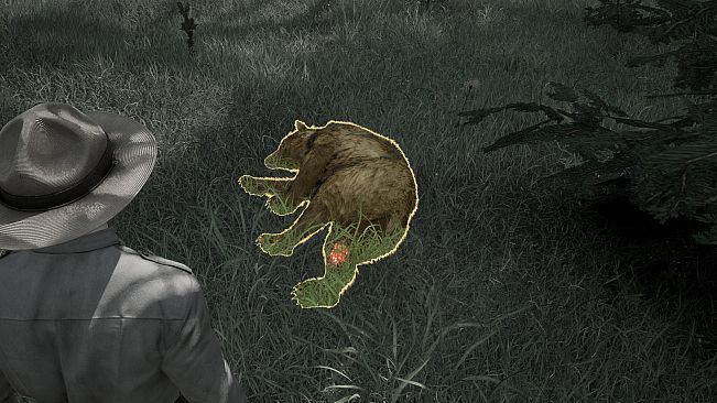 Ranger's Path: National Park Simulator