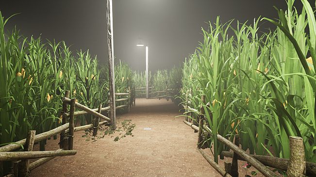 What Happened to Lily?