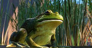 Planet Zoo: North America Animal Pack