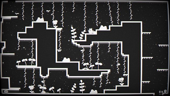 Cats Catching Mice: The Black and White World