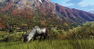 Way of the Hunter - Aurora Shores