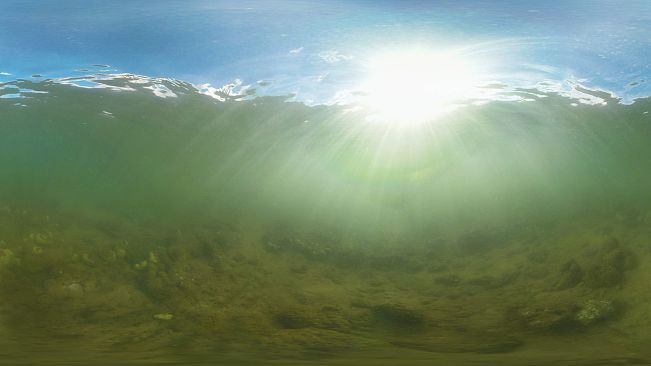 Coral Compass: Fighting Climate Change in Palau