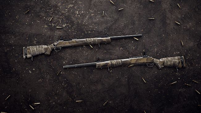 Insurgency: Sandstorm - Endurance Weapon Skin Set
