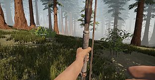 Missing Plane: Survival