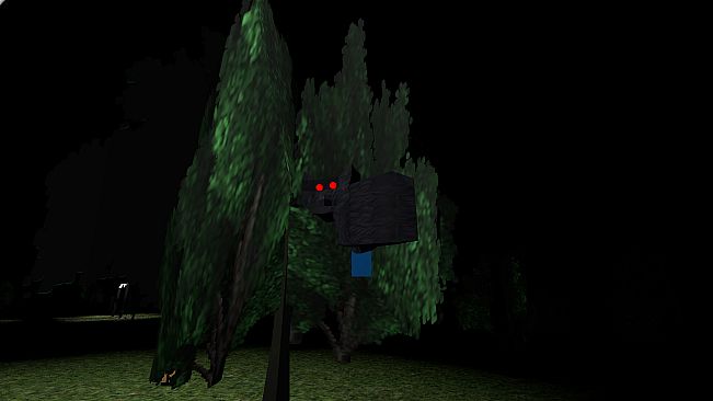 The Man in the Park 2: The Second Man in the Park