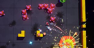 Chase Ace Sole Survivor