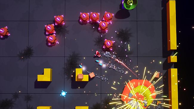 Chase Ace Sole Survivor