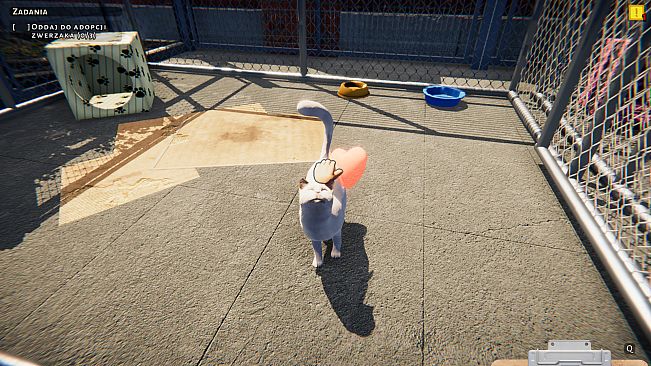 Animal Shelter: Prologue