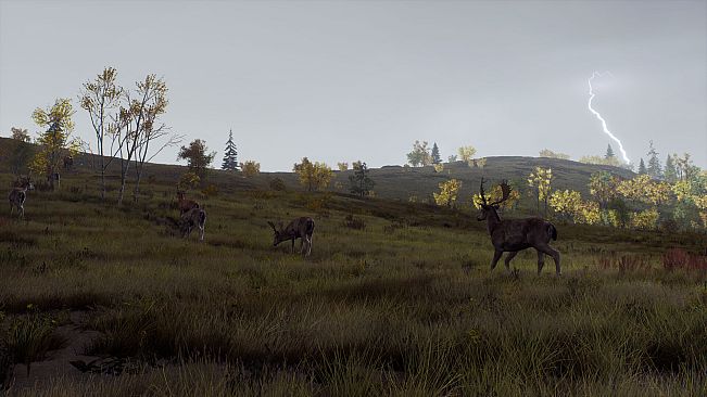 Way of the Hunter - Map Pack 2