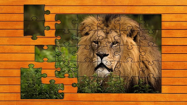 Big Cat Jigsaw Quest - Expansion Pack 1