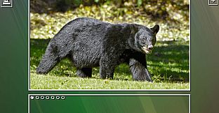 Super Jigsaw Puzzle: Generations - Bears Puzzles