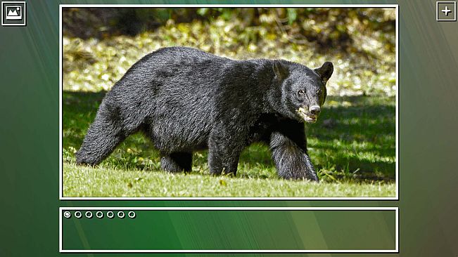 Super Jigsaw Puzzle: Generations - Bears Puzzles