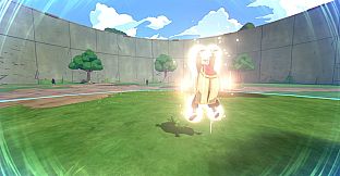 NTBSS: Master Character Training Pack - Ohnoki