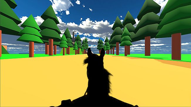 Horse Riding Classic