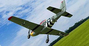RealFlight Evolution - E-flite UMX P-51D Mustang “Detroit Miss”