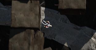 RETURN TO COMPANY OZIISAN