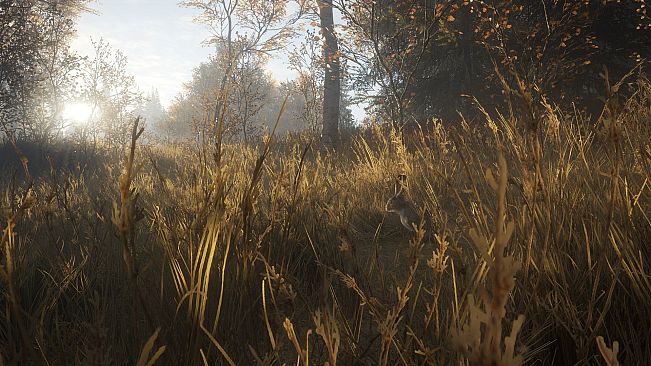 theHunter: Call of the Wild - Windows 10