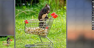 Jigsaw Puzzle Pack - Pixel Puzzles Ultimate: Variety Pack 13