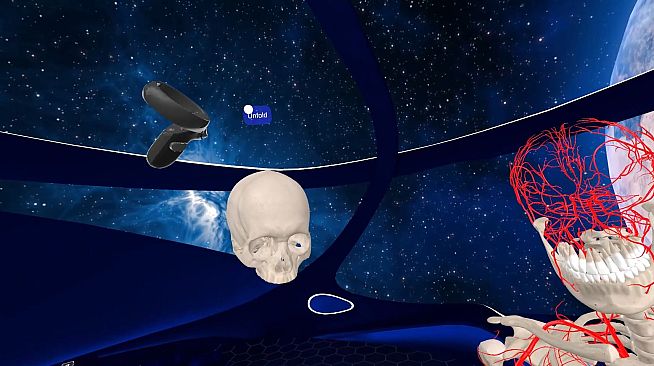 Elementary Anatomy: With Story Mode