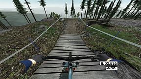 Downhill Pro Racer