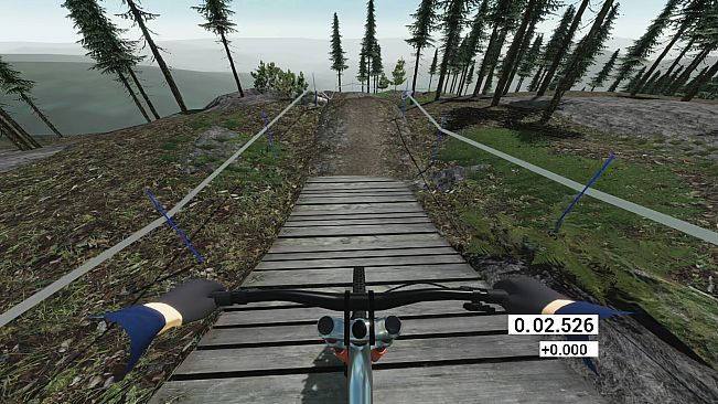 Downhill Pro Racer