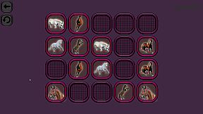 Animals Memory: Horses