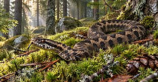 Puzzle Snakes